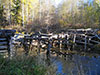 Развалины моста через реку Малиновку на трассе заграждений территории Сайменского канала