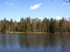 Большое Цветочное озеро (Ряттиярви)